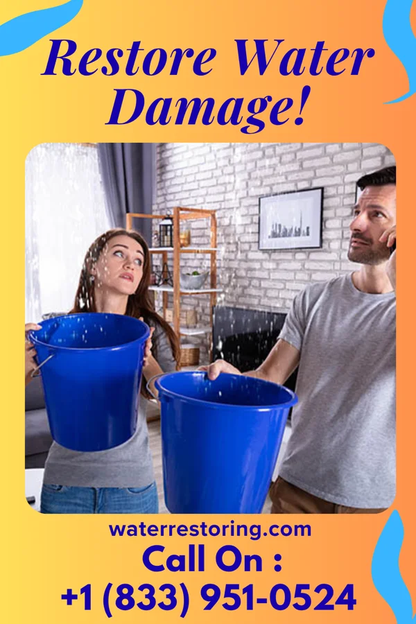 water restoration Capital Water Damage Professionals Mass City